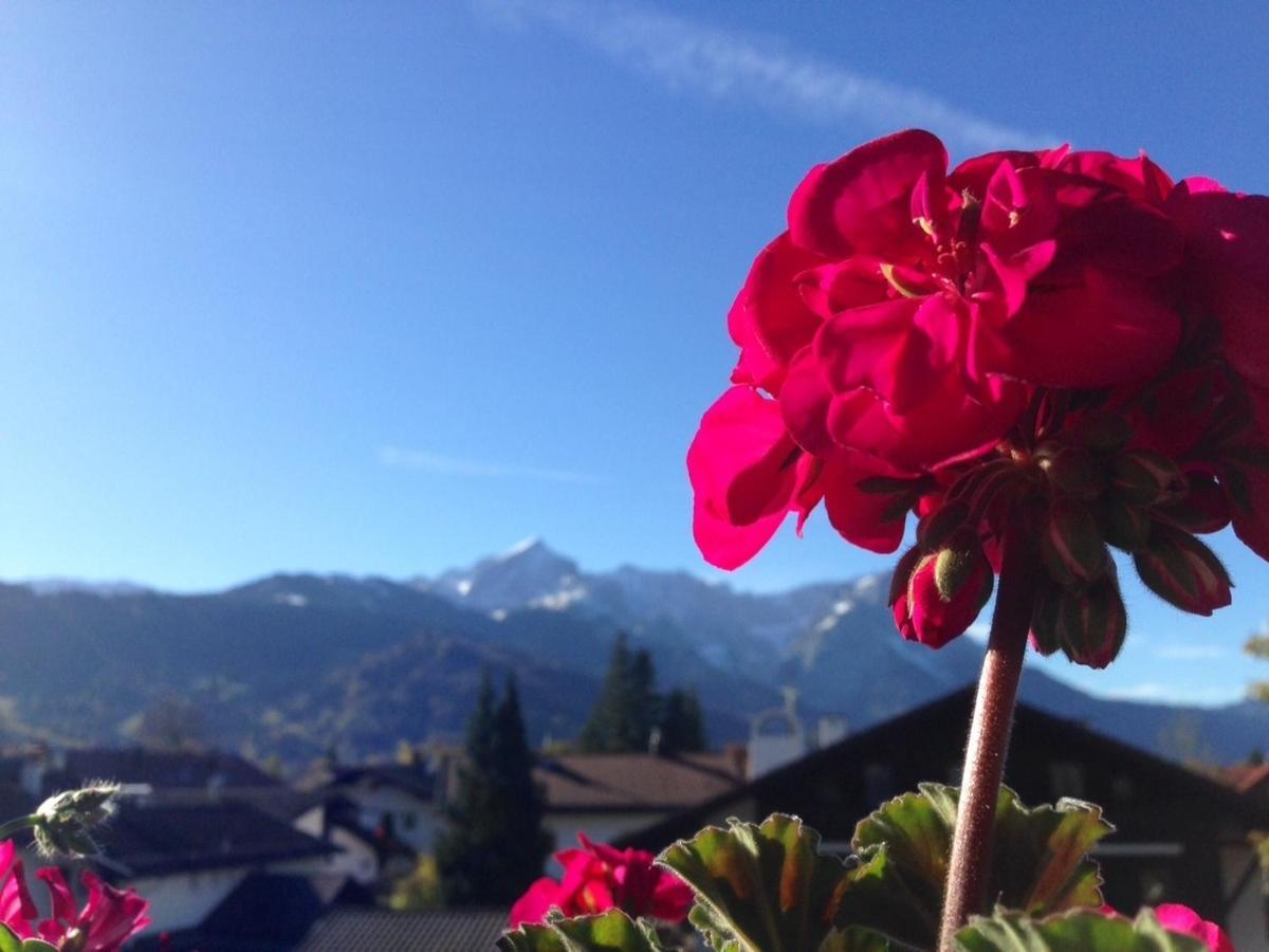 Ferienwohnung Gruss Aus Partenkirchen Garmisch-Partenkirchen Værelse billede